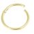 1.0mm Gauge Zircon Gold Titanium Hinged Segment Clicker Ring  (1.0mm x 7/10mm) (C108)