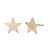 Chunky Matt Gold Tone Star Stud Earrings (10mm) (M703)A)