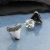 Sterling Silver Shark Teeth Design Stud Earrings (9mm x 8mm) (E424)
