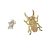 Gold Plated Collection: Sterling Silver Asymmetric Stag Beetle Insect and Teardrop Crystal Stud Earrings (E418)