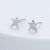 Tiny Silver Tone Sparkly Star Stud Earrings